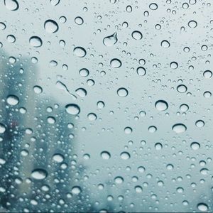 Meet your Posher, Kallie